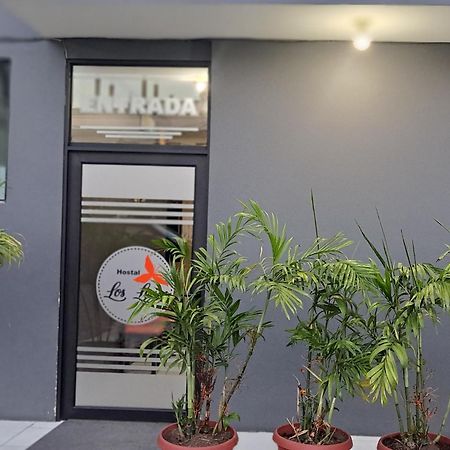 Hostal Los Lirios Лоха Екстер'єр фото